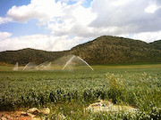 آب در زمینهای کشاورزی