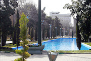 پارک عمومی