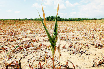 تداوم خشکسالی تا نیمه پاییز در تهران  خشکسالی