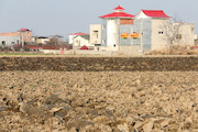 زمین‌های شالیکاری