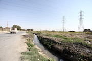 حاشینه نشینی مشهد-  خواجه ربیع - مهرمادر و گلشاد