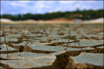 ۸۸ درصد مساحت آذربایجان شرقی دچار خشکسالی است خشکسالی