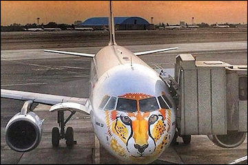 جوانترین ایرباس ۳۴۰ دنیا وارد ناوگان هوایی ایران شد/ رونمایی از طرح یوزپلنگ ایرانی روی بدنه هواپیمای "معراج" هواپیمایی معراج