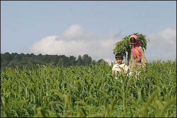 هواشناسی کشاورزی