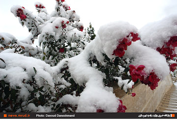 بارش برف در محورهای خراسان شمالی
