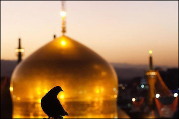 تخصیص ۱۰ درصد بودجه ۹۵ خراسان رضوی به مشهد ۲۰۱۷/ تهیه اطلس ویژه مشهد/ بهسازی گذر تاریخی باغ حسن خان و بازآفرینی محله کشمیری و خانه داروغه مشهد