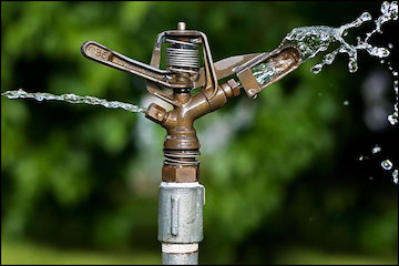 توصيههای هواشناسی کشاورزی تا ۱۴ شهریور ماه به تفکیک استان هواشناسی کشاورزی