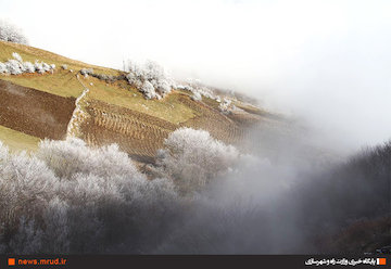 بابارشانی سردترین شهر ایران شد طبیعت زمستانی گردنه حیران
