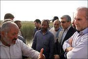 بازدید