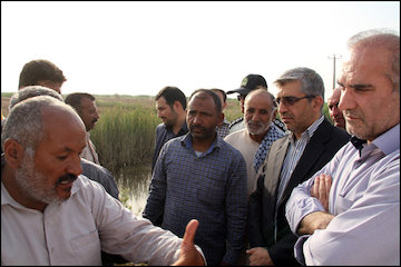 بازدید