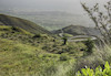 نمایی زیبا از محوز زنجان - طارم. عکس:  رحیم زرین کمر