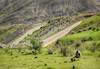 نمایی زیبا از محوز زنجان - طارم. عکس:  رحیم زرین کمر