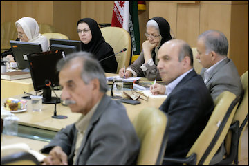 نقش مهم کمیته علمی در راهبری برنامههای حوزه زنان/ ضرورت بررسی تبعیضهای جنسیتی موجود در فضای اشتغال/ لزوم شناخت محدودیتهای نظام بروکراتیک در بروز خلاقیتها و توانمندیهای کارشناسانه  جلسه مشترك هم انديشي نمايندگان امور بانوان