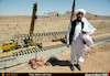 نماز شکر افغان‌ها بخاطر اتصال ریلی با ایران - راه‌آهن خواف - هرات