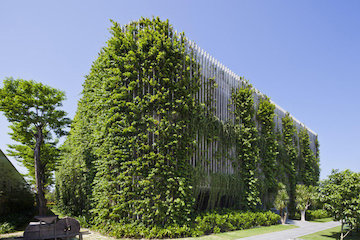 ساختمان سبز