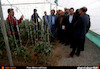بازدید وزیر راه و شهرسازی از گلخانه نمونه محصولات جالیزی جیرفت و بیمارستان درحال ساخت عنبرآباد