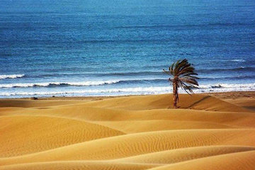 نوروز در سرزمین خیال و عجایب؛ چابهار/ جذابیتهای چشمگیر خلیج گواتر و جنگلهای حرا  چابهار