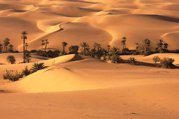 بخت آزمایی سفر در مهمانی کویر/ کلوتهای شگفت انگیز شهداد در بیابان لوت كوير