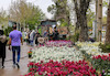  بازار گل در شیراز 