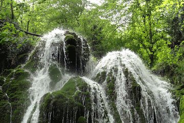 گلستان، رنگین کمانی از زیباییها گلستان