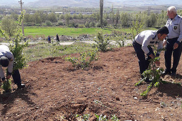 رفع تصرف از اراضی ملی در شهر سنندج رفع تصرف