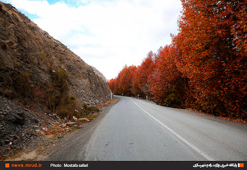 ۲۰ درصد پیشرفت فیزیکی اجرای طرح سراسری لکهگیری و روکش آسفالت راههای شریانی استان/اتمام طرح حداکثر تا مرداد امسال  جاده های چشم نواز - چهار محال و بختیاری