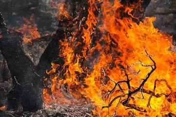 وزش باد شدید جنوبی و افزایش ۶ تا ۸ درجهای دما در گیلان و اردبیل/هشدار به گردشگران برای روشنکردن آتش در جنگلها آتش سوزی