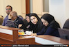 برگزاری نشست بررسی طرح توسعه دانشگاه تهران در کمیته فنی شورای عالی شهرسازی