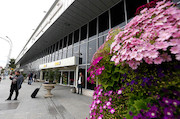 فرودگاه مهرآباد مسافر