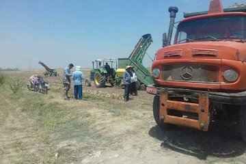 جابهجایی بیش از ۱۸۵ هزار تن انواع محصولات کشاورزی در شهرستان بیله سوار بارگیری کامیون