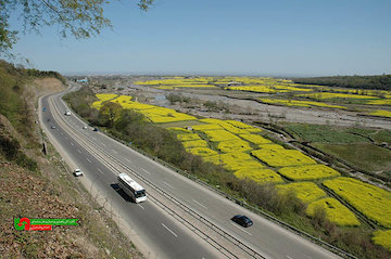 ۴ سال متوالی کاهش تلفات ناشی از تصادفات برون شهری و روستایی در مازندران مازندران