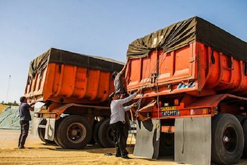 درزگیری و چادرکشی ناوگان حمل گندم و جو الزامی است/ کشاورزان از ناوگان تحت پوشش شرکتهای مجاز استفاده کنند چادر کشی کامیون حامل گندم