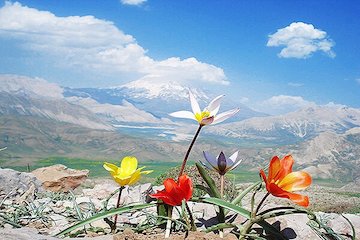 اکثر نقاط کشور آسمان صاف و جوی آرام خواهند داشت/  بارش خفیف باران در  روز یکشنبه در مازندران، گلستان و خراسان شمالی دماوند- آسمان- نیمه ابری- هوا- هواشناسی