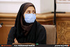 برگزاری جلسه بررسی ایمن سازی مسیل ها جهت مقابله و پیشگیری از سیلاب های مخاطره آمیز