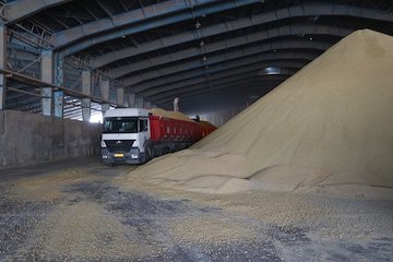 حمل ۲۳ هزار تن کالای اساسی و نهادههای دامی از بندر امام به استان بوشهر/ مشارکت  ١٠٠٠ کامیون در جابهجایی کالاهای اساسی به استان گزارش حمل کالای اساسی از بندر امام خمینی(ره)