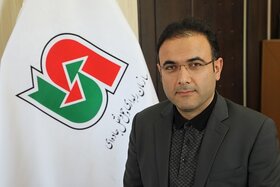 وحید میر محمدی