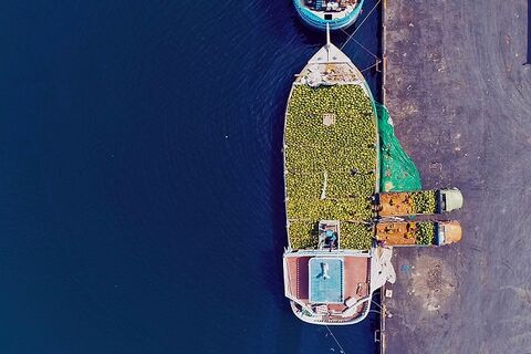 الحاق ۲ هکتار به اراضی بندر شهید باهنر/ بهرهبرداری از ۲ دستگاه کِشنده جدید برای جابهجایی کالاهای صادراتی/ مدیریت ترافیک، تسهیل در عبور و مرور کامیونها و کاهش حجم ترافیک ورودی به بندر بندر شهید باهنر