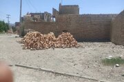 ببینید/اجرای طرح تشدید حفاظت از اراضی دولتی در سیستان و بلوچستان همزمان با ایام عاشورا و تاسوعای حسینی