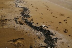 آلودگی گسترده در ساحل کنگان