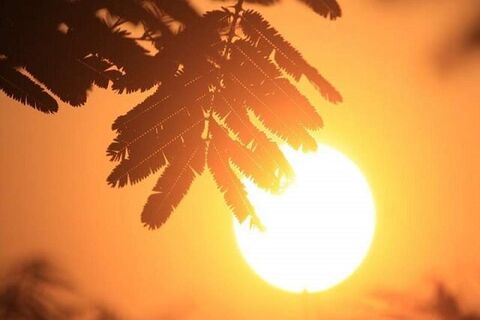 دمای اهواز به ۳۸ درجه رسید گرما/افزایش دما