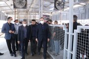 بازدید معاون حمل و نقل وزارت