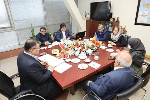 توسعه مناسبات حملونقل بینالمللی جادهای با رومانی/ ضرورت ارتقای فعالیت ناوگان ایرانی و رومانی دیدار با سفیر رومانی