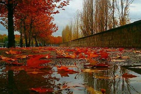 کاهش ۴ درصدی بارشهای کل کشور نسبت به سال گذشته/کمبود بارش ۴۰ درصدی تهران نسبت به بلندمدت باران پاییزی