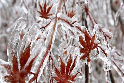 یخبندان در شب سرد تهران با دمای منفی ۴ درجه/سراب برای ششمین بار سردترین نقطه کشور شد یخبندان