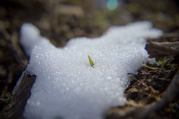 ثبت دمای صفر تا ۳۰ درجه در کرمان گرما آب شدن برف افزایش تدریجی دما