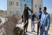 کاشت نهال در محل راه و شهرسازی خراسان شمالی