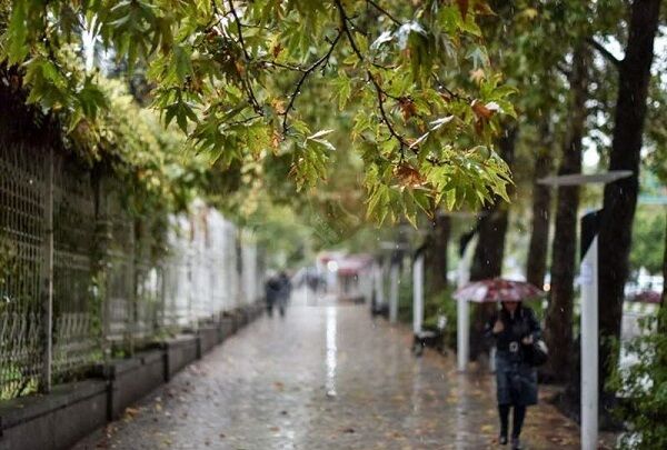 بارش پراکنده باران تا پایان هفته ادامه دارد باران