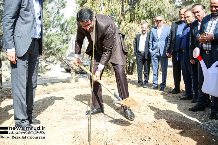 کاشت نهال توسط وزیر راه و شهرسازی در روز درختکاری ببینید |  افتتاح بندر خشک ریلی تهران با حضور وزیر راه و شهرسازی