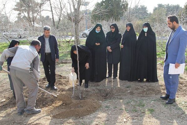 کاشت نهال به مناسبت روز درختکاری با حضور مشاور امور بانوان وزیر راه و شهرسازی درختکاری