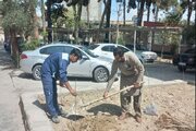 ببینید|غرس نهال به مناسبت هفته درختکاری در اداره کل راه و شهرسازی استان سیستان و بلوچستان